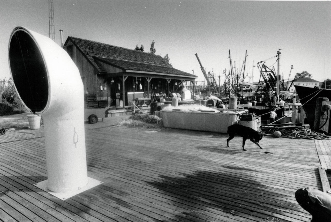 Gardner's Basin